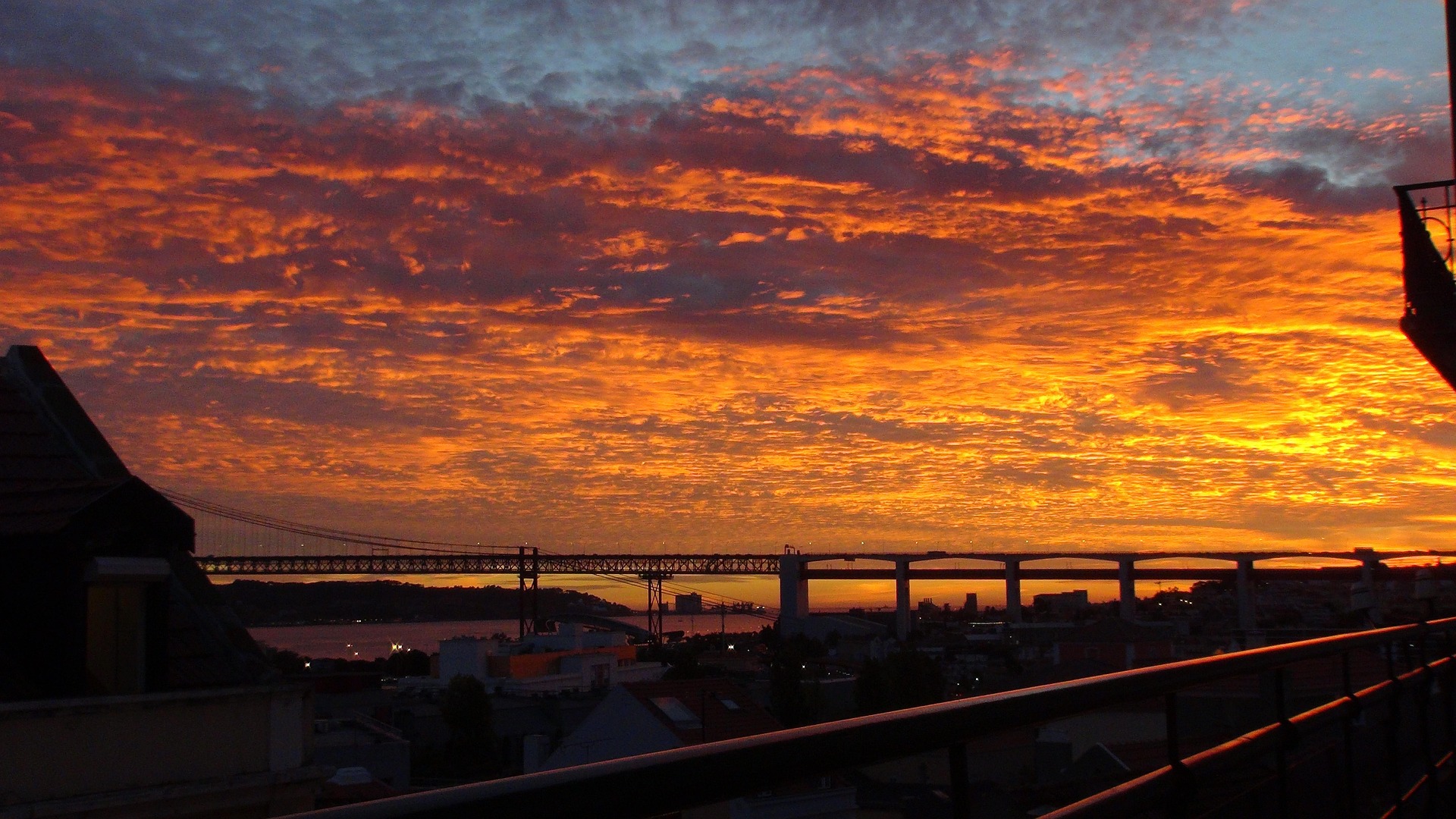 12+ Reasons Why Campo de Ourique is Lisbon’s Hidden Gem