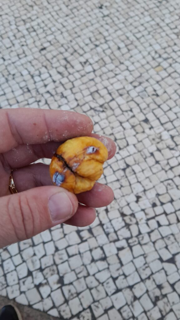 Why Are Roasted Chestnuts So Popular in Lisbon? 8 Reasons