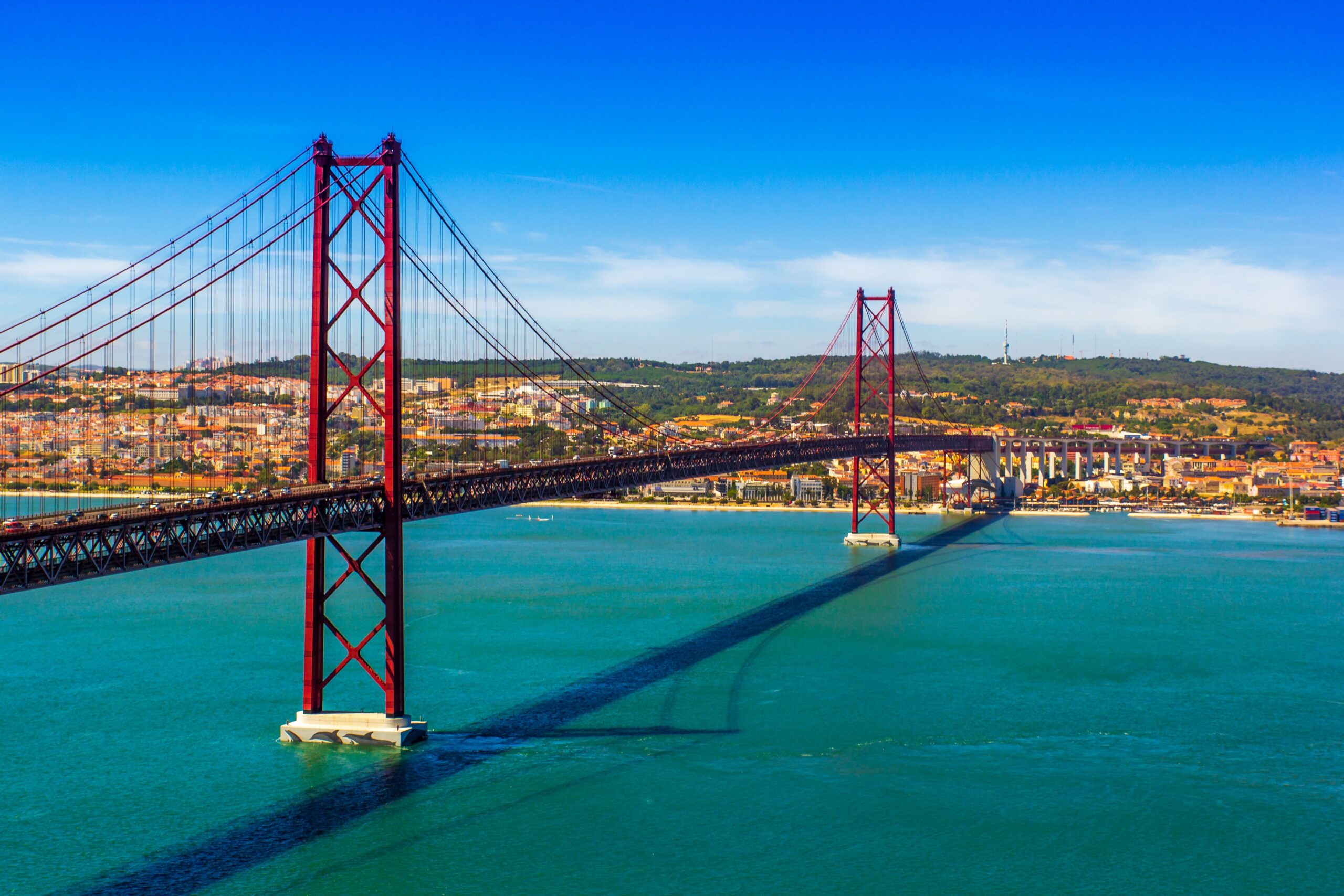 Dolphin & Whale Watching in and Around Lisbon: The Ultimate 2026 Guide