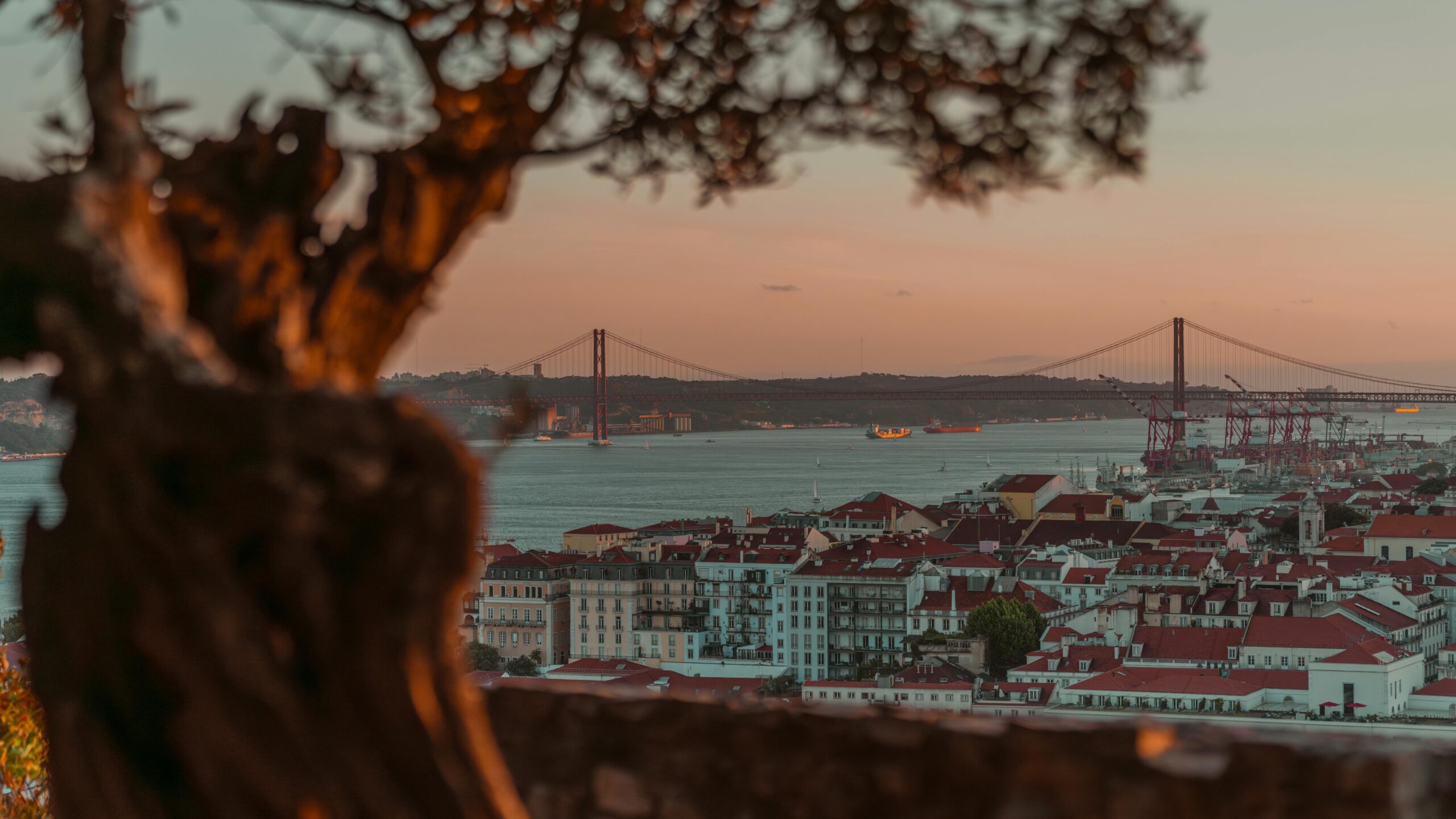 Bairro Alto: Lisbon’s Vibrant Quarter (2026 Guide)