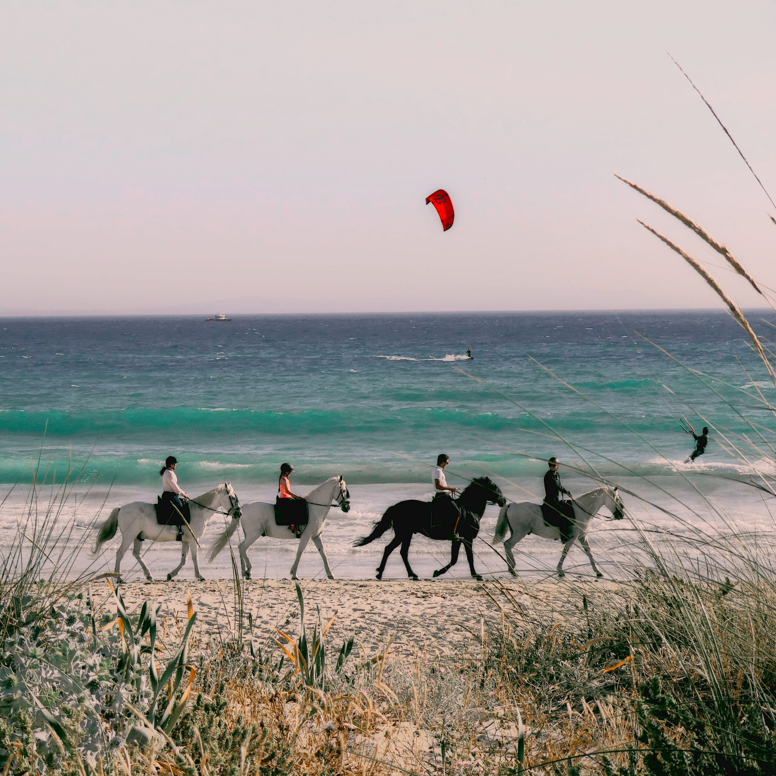 Horseback Riding in and Around Lisbon: 15 Unforgettable Experiences